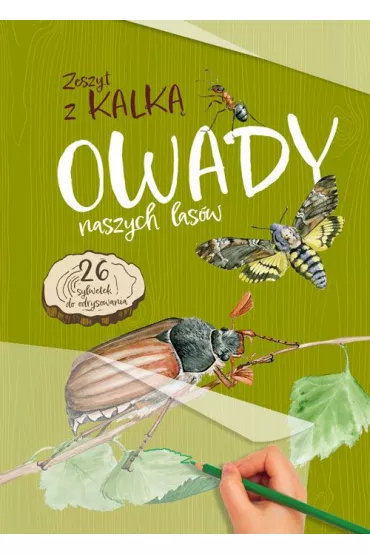 Owady naszych las�w. Zeszyt z kalk� - Katarzyna Kopiec-Sekieta