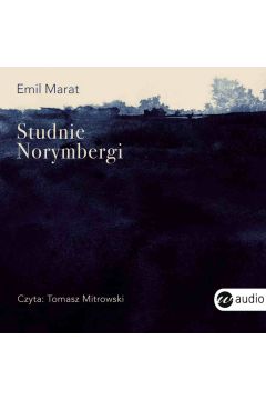 Audiobook Studnie Norymbergi mp3