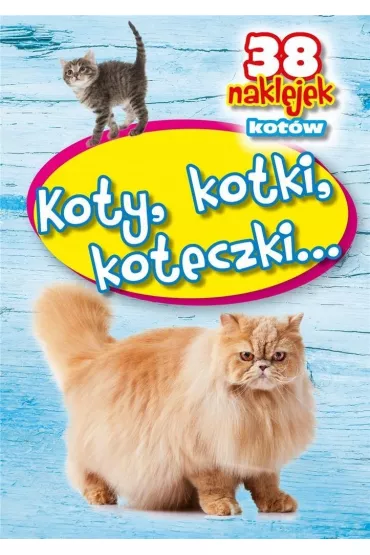 Koty, kotki, koteczki...