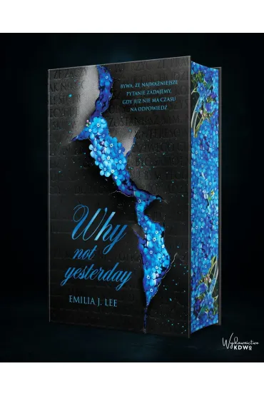 Why Not Yesterday (barwione brzegi) - Emilia J. Lee