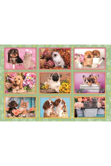 Puzzle 180 el. Super Puppies Collage Clementoni
