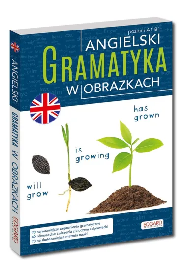 Angielski. Gramatyka w obrazkach