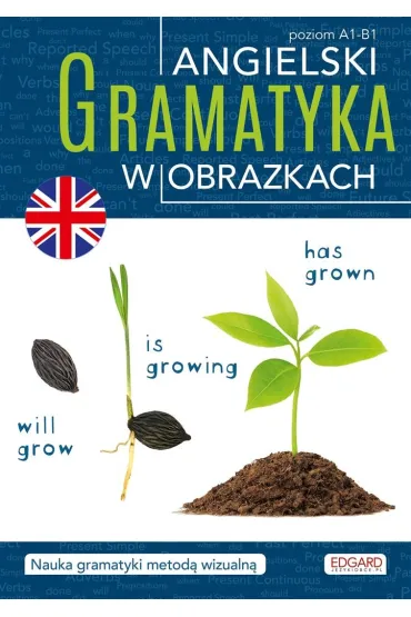 Angielski. Gramatyka w obrazkach