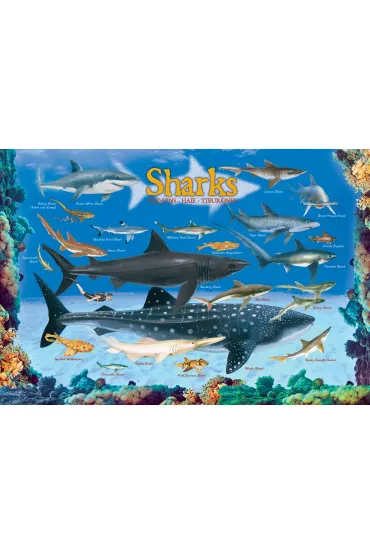 Puzzle 100 el. Smartkids - Sharks Eurographics