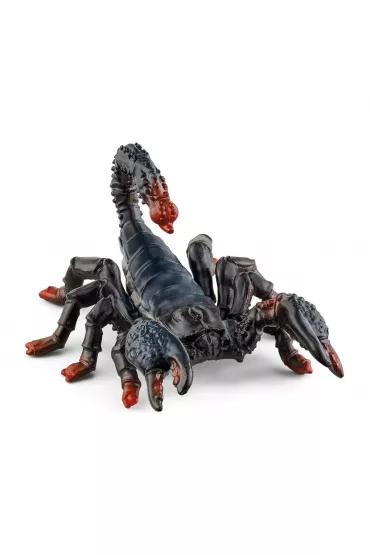 Skorpion cesarskiSLH14857