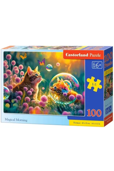 Puzzle 100 el. Magical Morning Castorland
