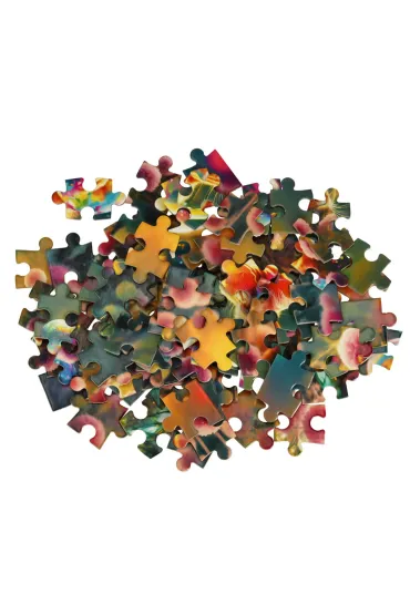 Puzzle 100 el. Magical Morning Castorland