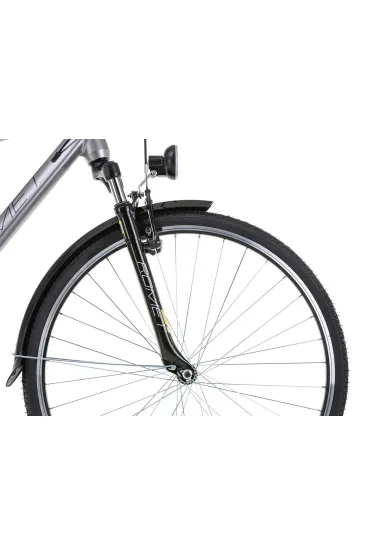 Romet Rower trekkingowy WAGANT 2023 srebrno-��ty 19 M