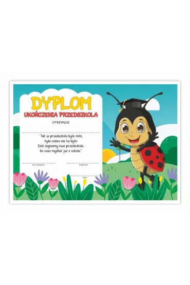 LearnHow Dyplom A4 ukoczenia przedszkola - Biedronka 10szt