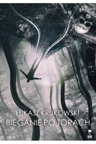 Bieganie po torach - �ukasz  Krukowski