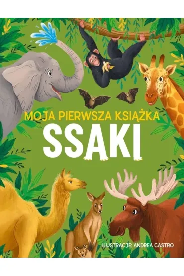Moja pierwsza ksi��ka. Ssaki - Eliza Jeffery