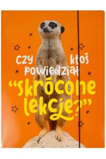 Pan Dragon Teczka szkolna A4 „ALE JAK TO?”