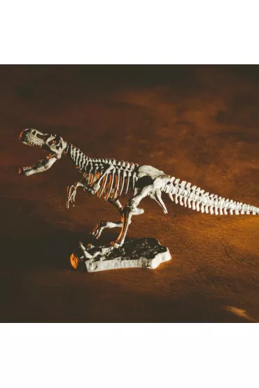 Crazy Science - Smoki i dinozaury Lisciani