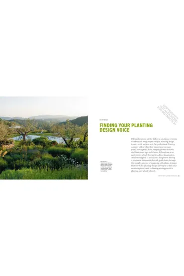 The Modern Professional Planting Designer - Andrew  Fisher Tomlin