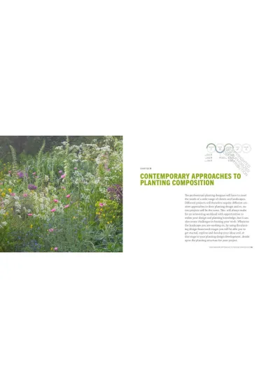 The Modern Professional Planting Designer - Andrew  Fisher Tomlin