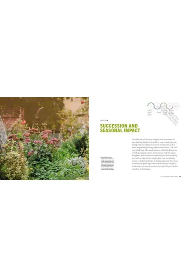 The Modern Professional Planting Designer - Andrew  Fisher Tomlin