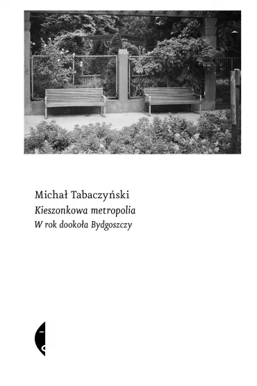 Kieszonkowa metropolia. W rok dookoa Bydgoszczy - Micha Tabaczyski