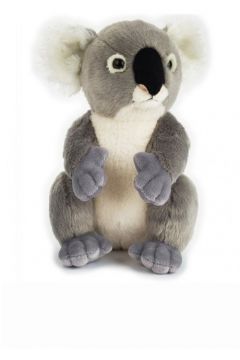 Plusz Basic Koala National Geographic