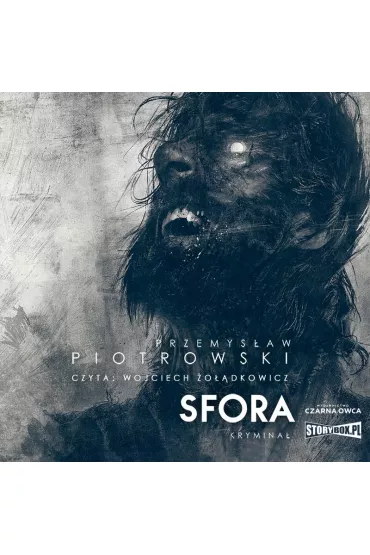 Audiobook Sfora. Igor Brudny. Tom 2 CD - Przemys�aw Piotrowski