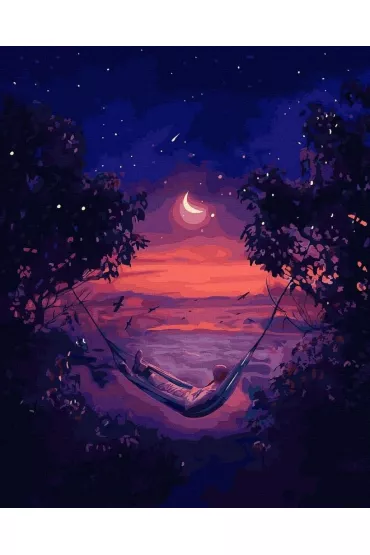 Twoje Hobby Malowanie po numerach czarne p��tno - Nocna... 40x50cm