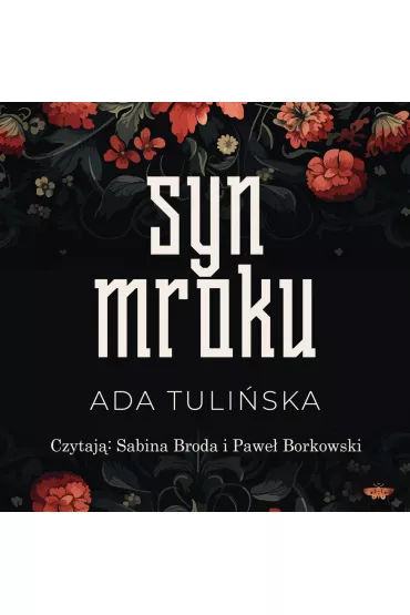 Audiobook Syn Mroku mp3 - Ada Tuliska