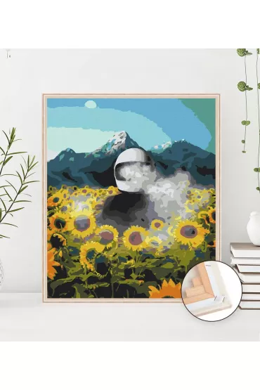 Twoje Hobby Malowanie po numerach - Kosmiczna Ziemia 40x50cm