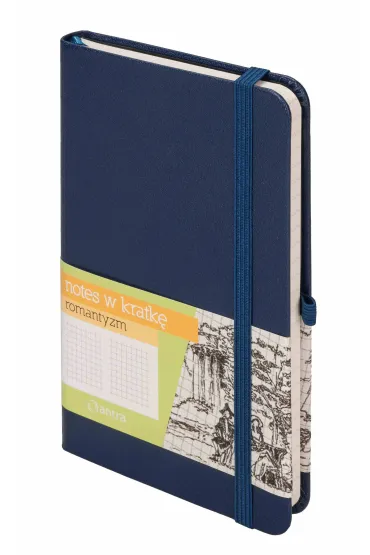Antra Notes A6 Romantyzm kratka 80 kartek