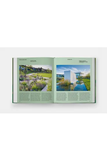 The Contemporary Garden - Annie  Guilfoyle