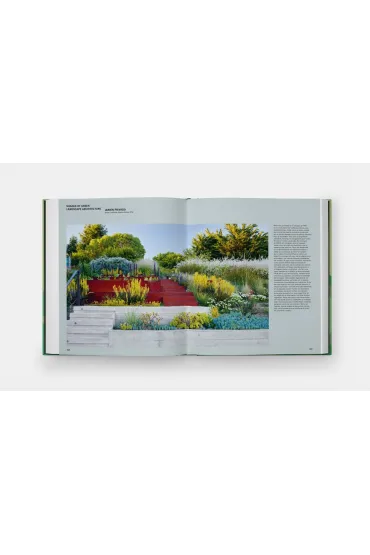 The Contemporary Garden - Annie  Guilfoyle