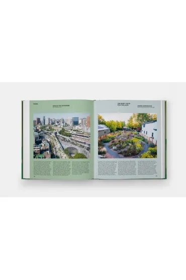 The Contemporary Garden - Annie  Guilfoyle
