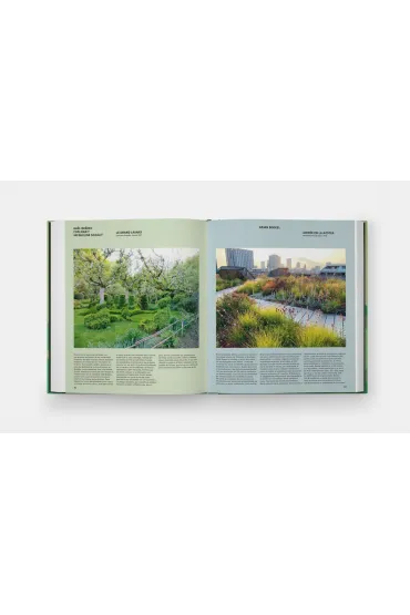 The Contemporary Garden - Annie  Guilfoyle