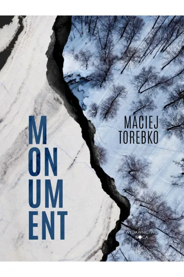 Momentum - Maciej Torebko