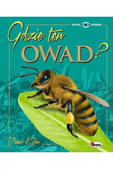 Gdzie ten owad? - Dawid  Kilon