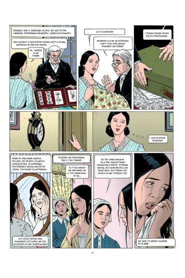 Adaptacje literatury. Pani Bovary - Antoine Ozanam
