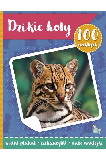 Dzikie koty. 100 naklejek z plakatem - Ma�gorzata Ewa  Skibi�ska
