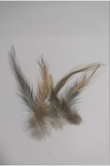 Pi�rka 10g