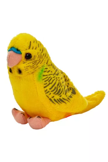 Papuga falista ��ta 13cm Beppe