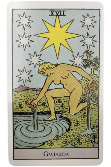 Tarot Podstawy, talia Rider Waite Tarot z ksi��k� - Fiebig Johannes, Evelin Burger