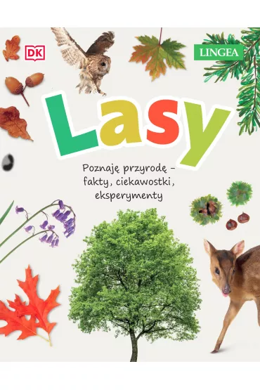 Lasy. Poznaj� przyrod�, fakty, ciekawostki, eksperymenty - Jamie Ambrose