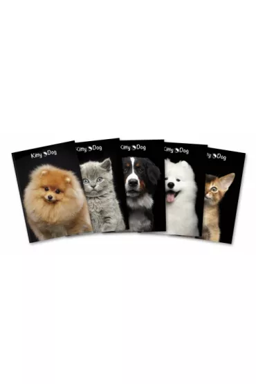 Hamelin Brulion A4 Kitty&Dog kratka