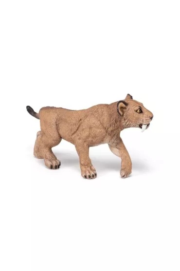 Smilodon m�ody