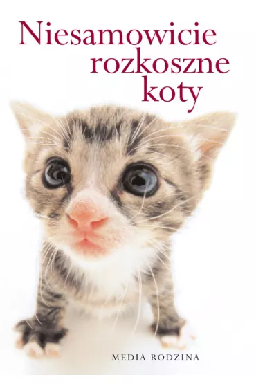 Niesamowicie rozkoszne koty - Linda Macfarlane, Stuart Macfarlane