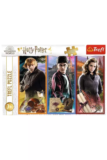 Puzzle 200 el. W �wiecie magii i czar�w Trefl