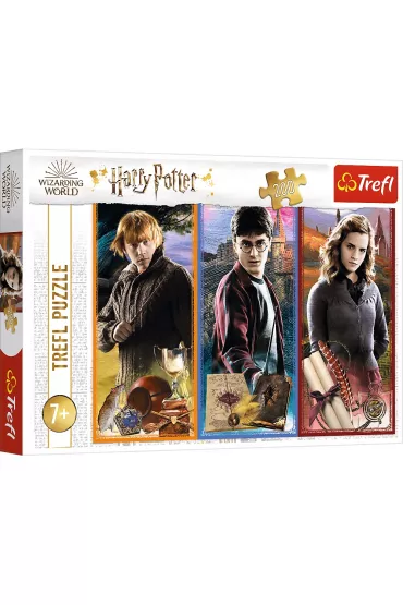 Puzzle 200 el. W �wiecie magii i czar�w Trefl