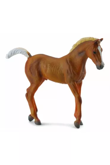 Collecta. �rebi� Chestnut Spaceruj�ce Rozmiar M