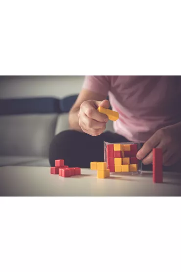Smart Games. BLOK w BLOK (PL) IUVI Games