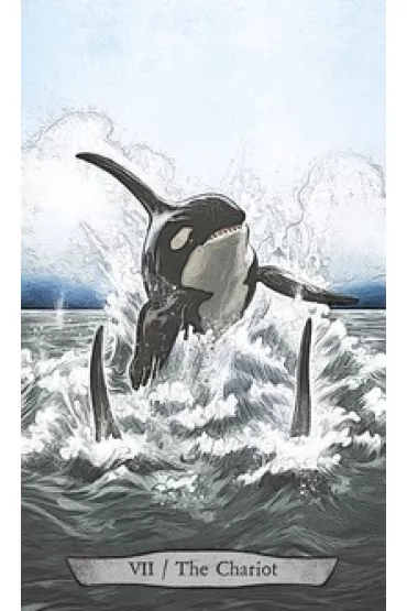 Animal Totem Tarot - Leeza Robertson