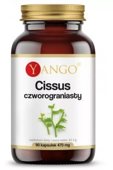 Yango Cissus Czworograniasty 470 mg Suplement diety 90 kaps.