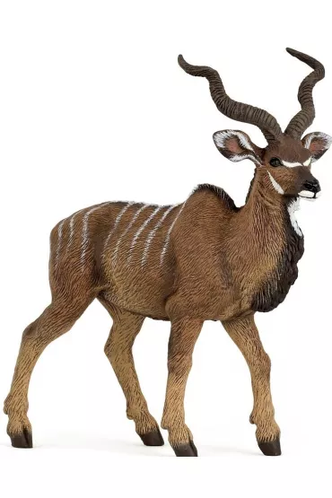 Antylopa kudu wielka