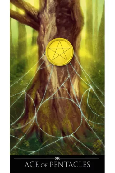Zestaw Tarot Czarostwa + ksi��ka - Barbara Moore, Franco Rivolli